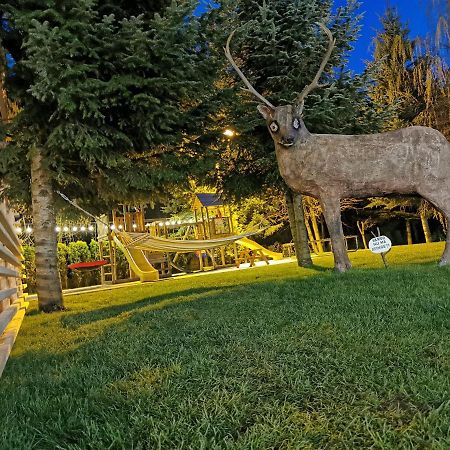 Popasul Lu' Voda Borşa Exterior foto